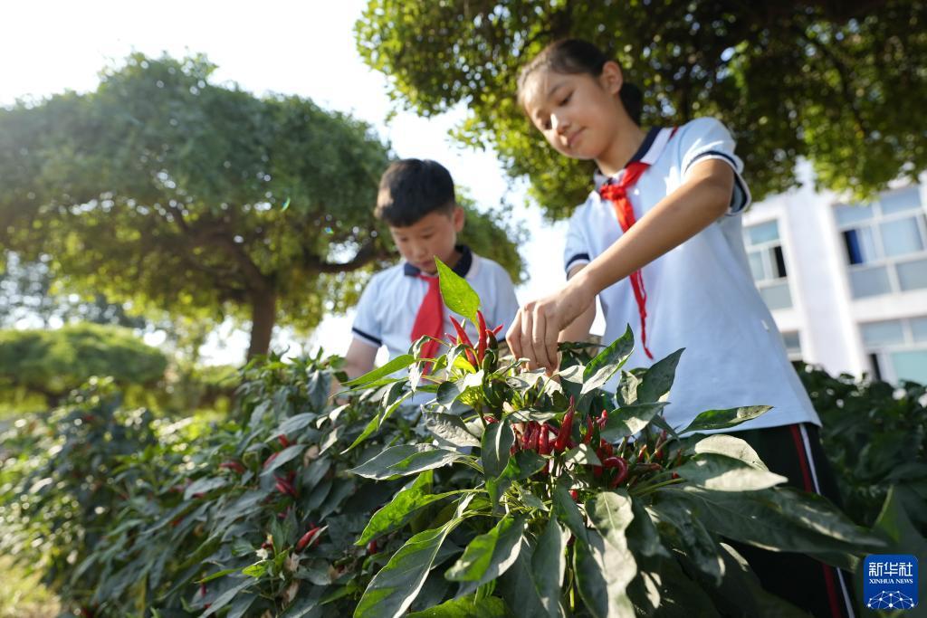 威尼斯现金下载